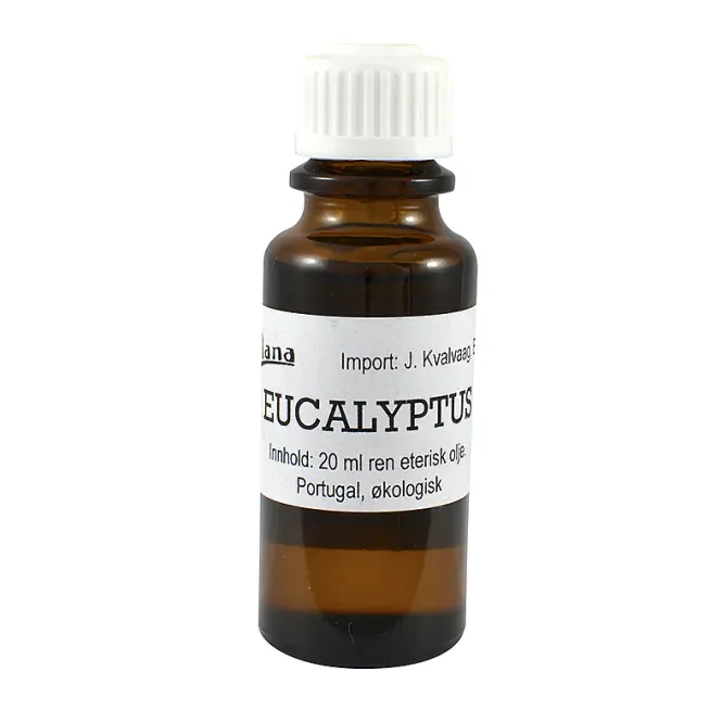 Hovedbilde Celana eucalyptus olje 20 ml